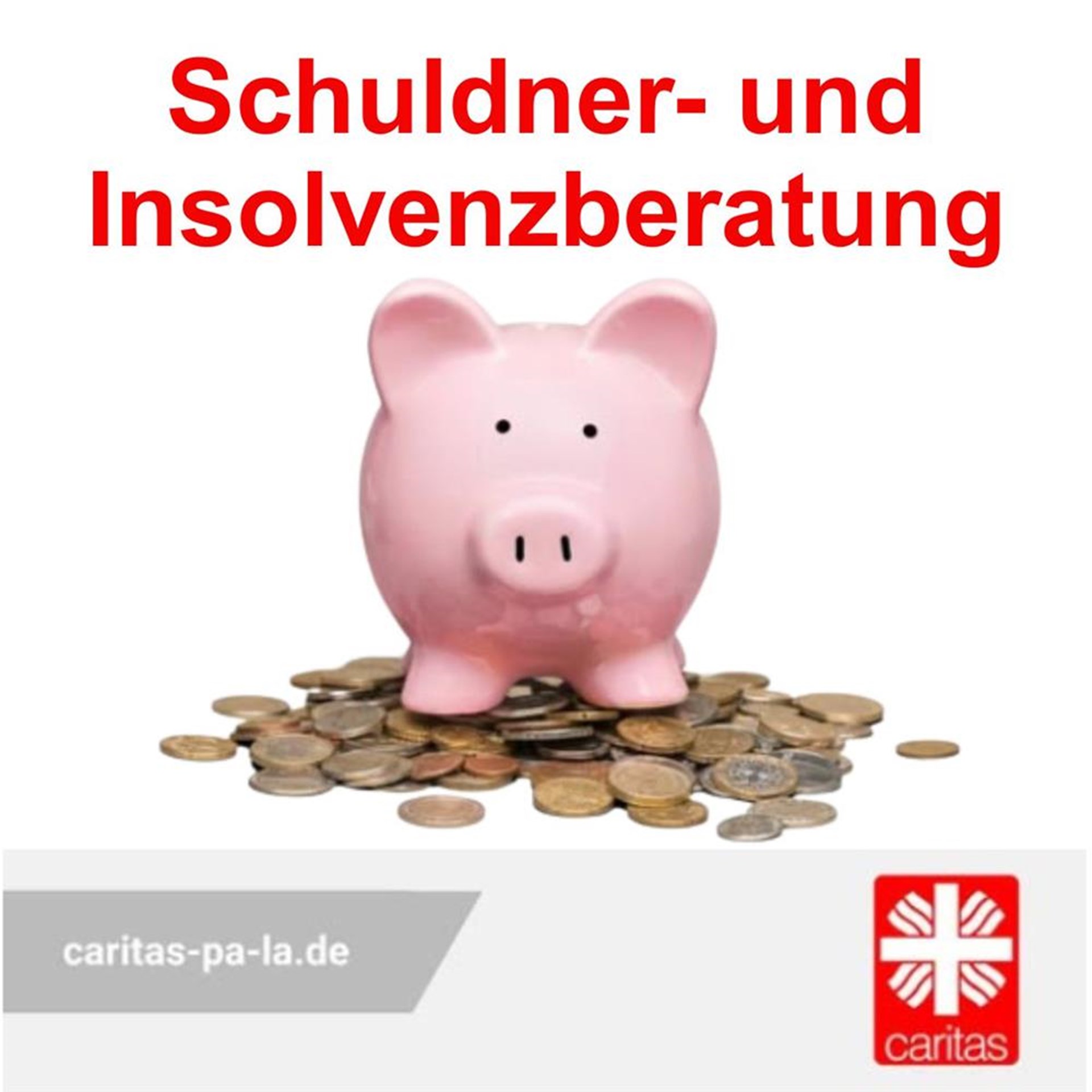  Sparschwein und Schriftzug Schuldner- und Insolvenzberatung